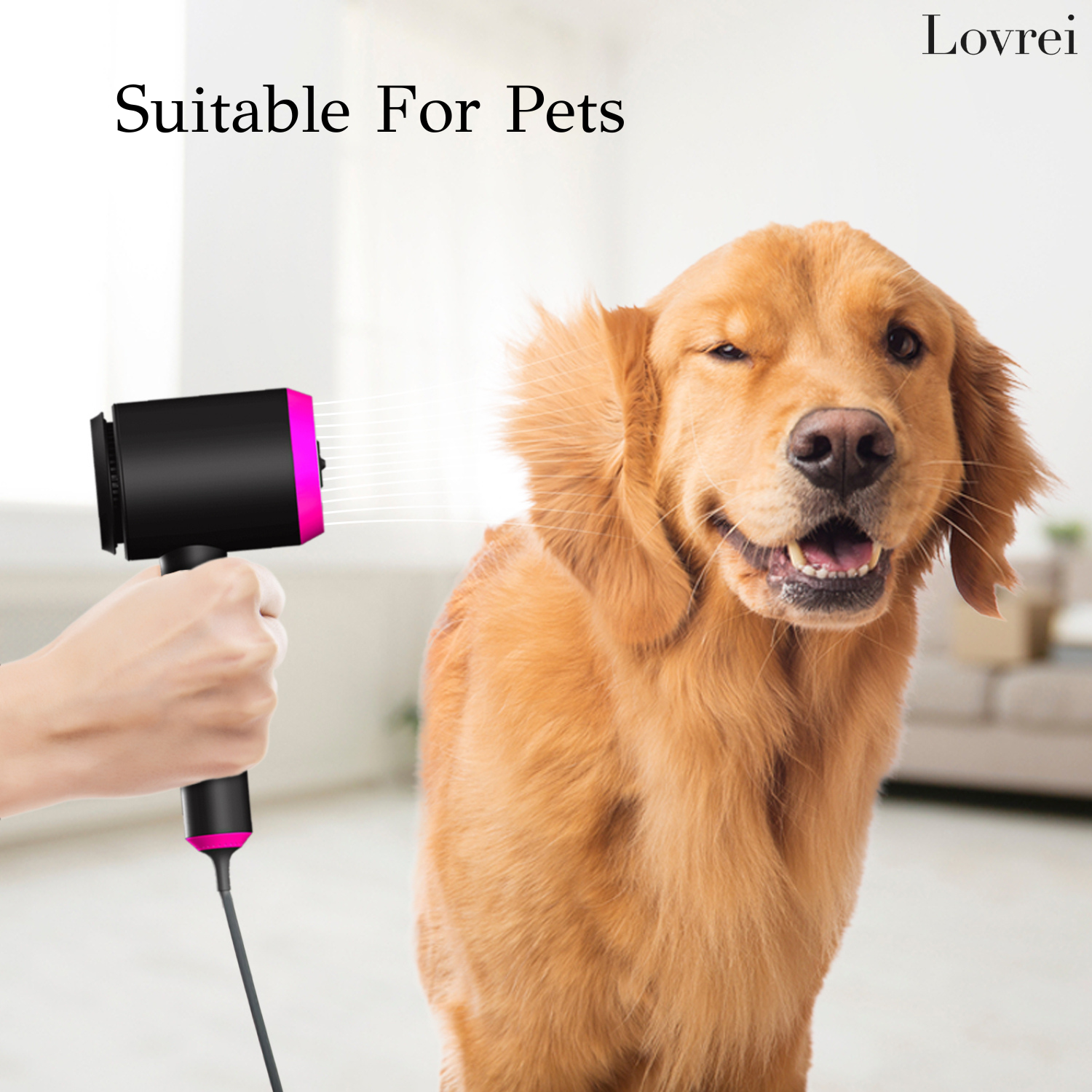 Lovrei – Performance Hair Dryer